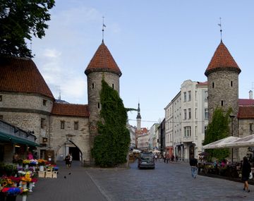 Tras cinco años de experiencia positiva en Tallinn, el Gobierno estonio podría extenderla al resto del país