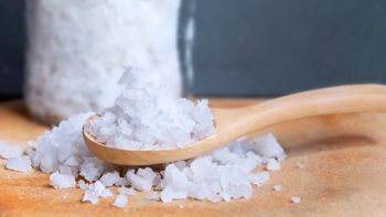 Chau al mal olor: el secreto casero de dejar un algodón con sal gruesa en el armario Chau al mal olor: el secreto casero de dejar un algodón con sal gruesa en el armario