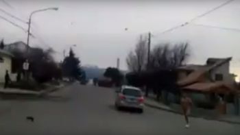 imperdible: el pata de lana de bariloche ya tiene su cancion de cumbia imperdible: el pata de lana de bariloche ya tiene su cancion de cumbia