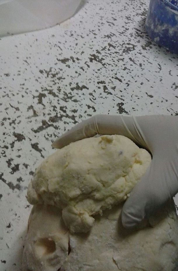 Insólito: una panadería vendía facturas con excremento de ratas