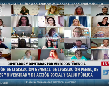 Diputados comenzó a debatir el proyecto de legalización del aborto