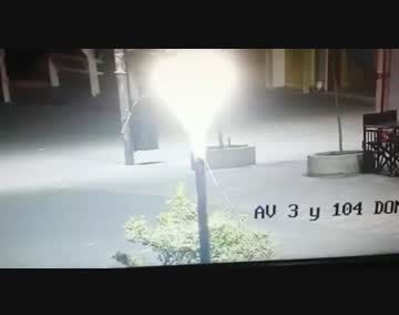 Aumenta el pánico: son varios los pumas sueltos en Villa Gesell