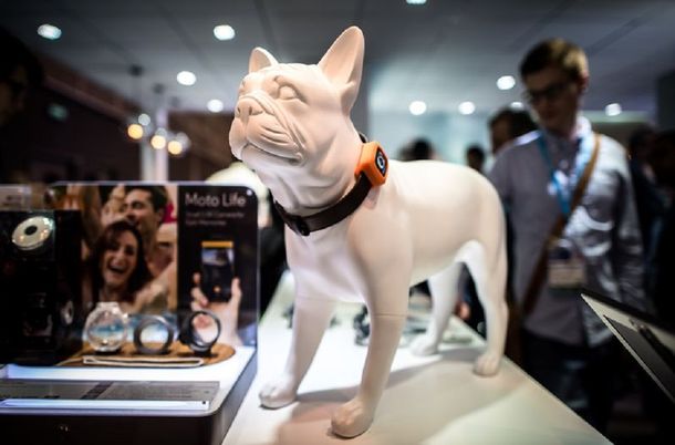 Aplicaciones para perros y drones para selfies se exponen en feria de Hong Kong