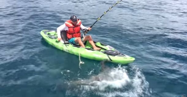 Los riesgos de pescar un tiburón desde un kayak