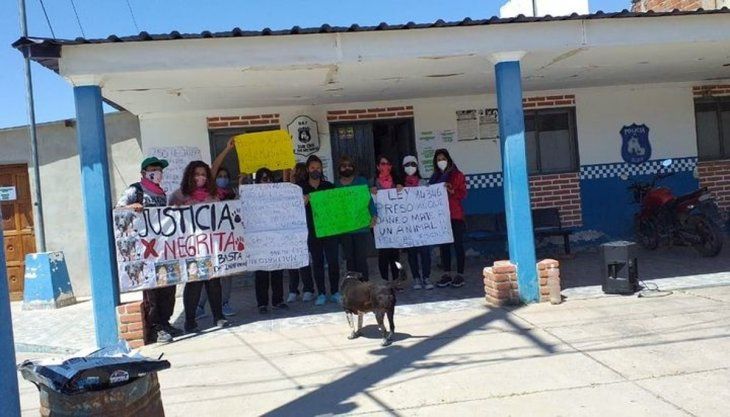 Jujuy: piden la aplicación de la Ley de Maltrato Animal en un caso aberrante