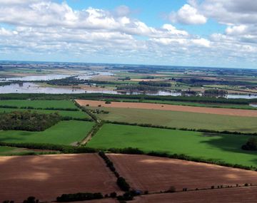 Hay 14 millones de hectáreas afectadas por el temporal