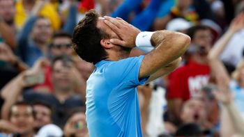 video: del potro se quebro en llanto tras ganarle a nadal y pasar a la final video: del potro se quebro en llanto tras ganarle a nadal y pasar a la final