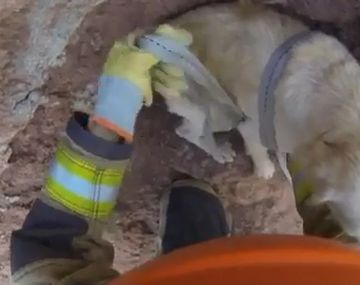 Emotivo rescate de un perro que había quedado atrapado en un precipicio