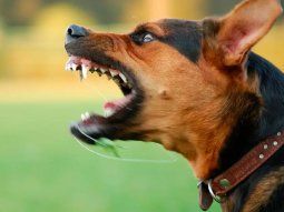 Imagen ilustrativa&nbsp;