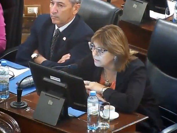 Diputada de Entre Ríos pidió que en el mundo entero haya más personas con síndrome de Down