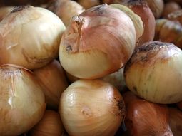Cebolla