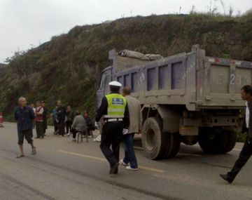 Camionero 2