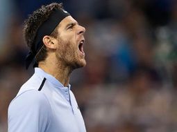 El desahogo de Del Potro El desahogo de Del Potro