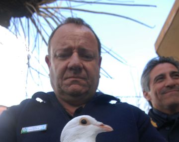 Cómo operaba la banda de las narcopalomas en el GBA