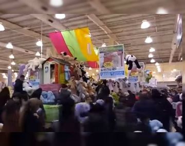 Otra vez el furor por los animales de peluche gigantes en Coto