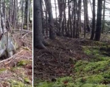 Este es el video de la respiración de la tierra