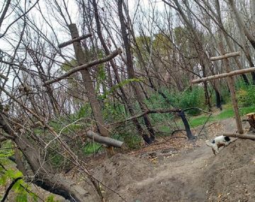Misterioso ritual en una chacra de Neuquén&nbsp; - Facebook Mariano Nicolas Pamich