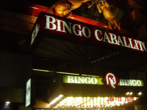 Bingocaballito