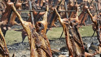 Aumenta el robo de lechones y corderos Aumenta el robo de lechones y corderos