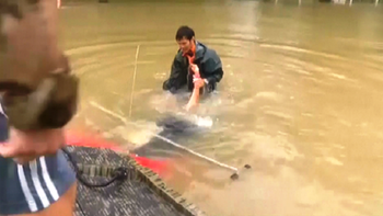 video: el dramatico rescate de una mujer y su perro antes de que mueran ahogados video: el dramatico rescate de una mujer y su perro antes de que mueran ahogados