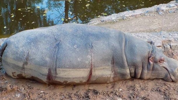 Gentileza. Gobierno de Mendoza