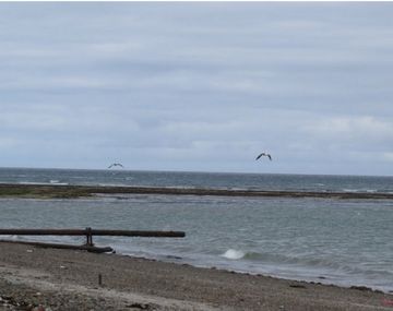 Retó a su amigo a nadar en el mar y murió ahogado