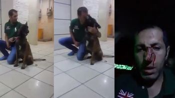 Le quiso dar un beso al perro y terminó con la cara mordida Le quiso dar un beso al perro y terminó con la cara mordida