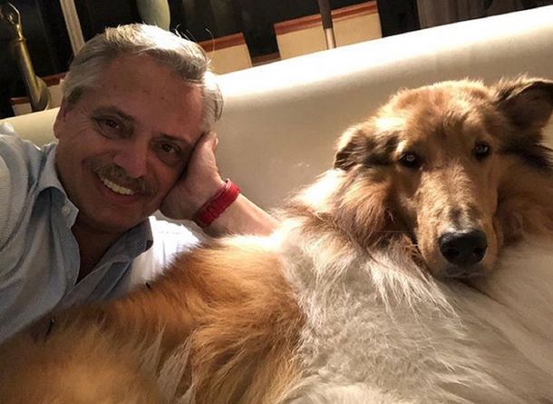 Dylan, la mascota de Alberto Fernández, felicitó a Brownie, el perro de Gabriel Boric