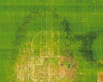 Así está el césped del estadio de Córdoba