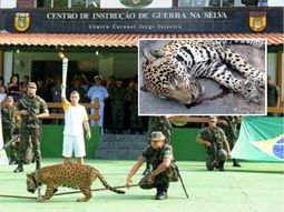 Tras la foto con la antorcha, mataron a un jaguar