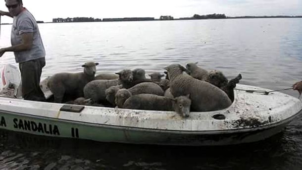 Prevén que el desagote de la inundación por el desborde del río Salado se hará en 15 días