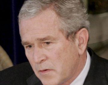 Bush