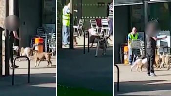 Una manada de perros ataca a clientes en un shopping Una manada de perros ataca a clientes en un shopping
