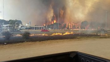 Voraz incendio en los bosques de Cariló y Valeria del Mar Voraz incendio en los bosques de Cariló y Valeria del Mar
