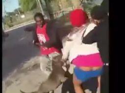 pitbull defendio a una chica de ser agredida pitbull defendio a una chica de ser agredida