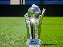 cuanto dinero ganara el campeon de la copa argentina cuanto dinero ganara el campeon de la copa argentina