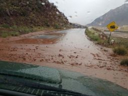 Gentileza portal Mendoza Online. Gentileza portal Mendoza Online.