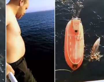 Un marinero salvó a una ballena atrapada en una red