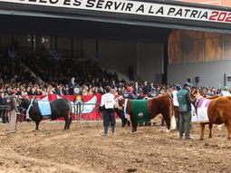Cómo quedan las retenciones tras los anuncios de Javier Milei en La Rural