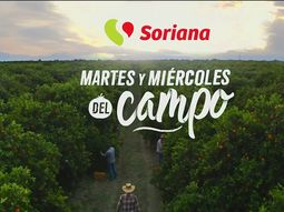 Las ofertas del Martes y Miércoles del Campo de Soriana del 17 y 18 de diciembre 2024. Las ofertas del Martes y Miércoles del Campo de Soriana del 17 y 18 de diciembre 2024.