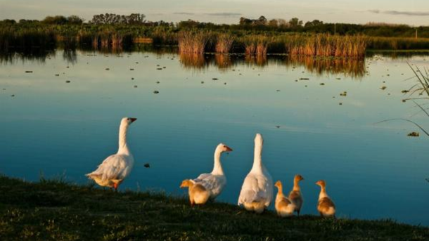 El pueblo poco conocido que tiene una laguna y con naturaleza por donde mires