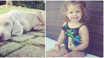 el tierno video de la hija de wanda nara con su nueva mascota el tierno video de la hija de wanda nara con su nueva mascota