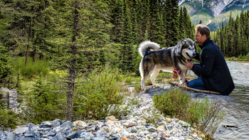 El drama canadiense emotivo, de acción y supervivencia que atrapa por su historia El drama canadiense emotivo, de acción y supervivencia que atrapa por su historia