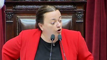 Por qué Cecilia Moreau fue la encargada de abrir la sesión en la que se rechazaron los vetos de Milei