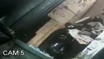 Un sicario asesinó de tres disparos en la cabeza al dueño de un bar Un sicario asesinó de tres disparos en la cabeza al dueño de un bar