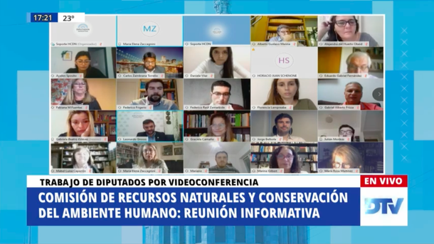 VIDEO: En una reunión virtual, Diputados trata las causas ambientales de la pandemia