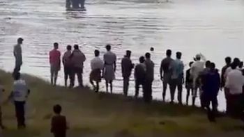 una manada de elefantes enojada una manada de elefantes enojada