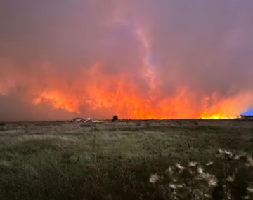 Impactantes imágenes del incendio en la Reserva Natural de Punta Lara