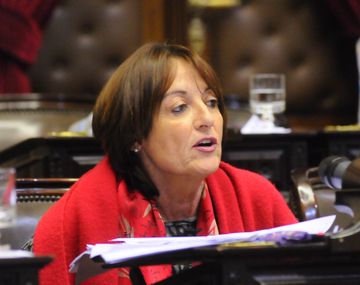 Diputada socialista pone reparos y pide esperar el escrutinio definitivo