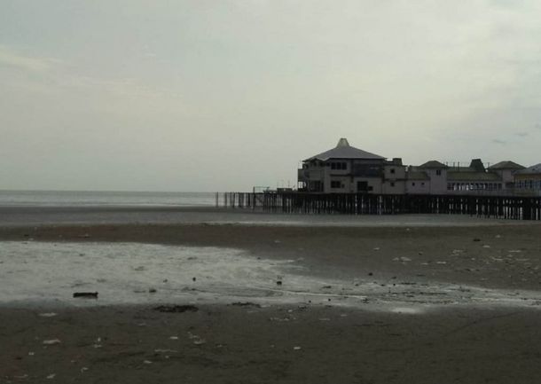 Horror en Quilmes: hallan animales muertos y mutilados a orillas del río